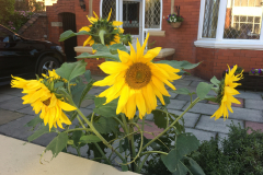 5F4ED18E-3913-4689-99FE-7D31CDD182E9